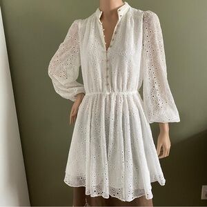 Ever New Thea Broderie Mini Dress